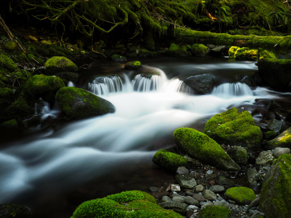 Serene river flowing over smooth stones with lush green moss in tranquil forest wallpaper background