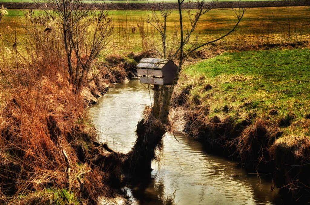 Tranquil river flowing through golden field with rustic birdhouse on bare tree by green grass Wallpaper