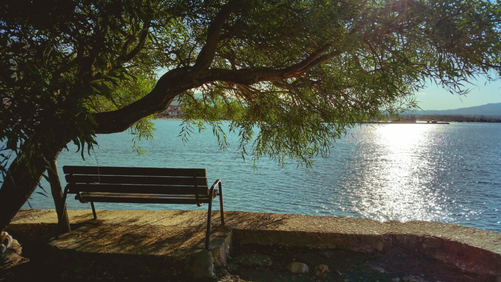 Tranquil River View Wallpaper: Serene Tree Shade & Wooden Bench