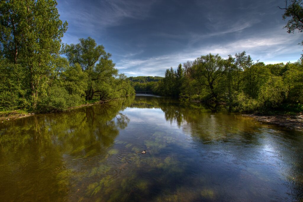 Serene riverscape with lush green trees vibrant foliage and clear blue sky wallpaper background