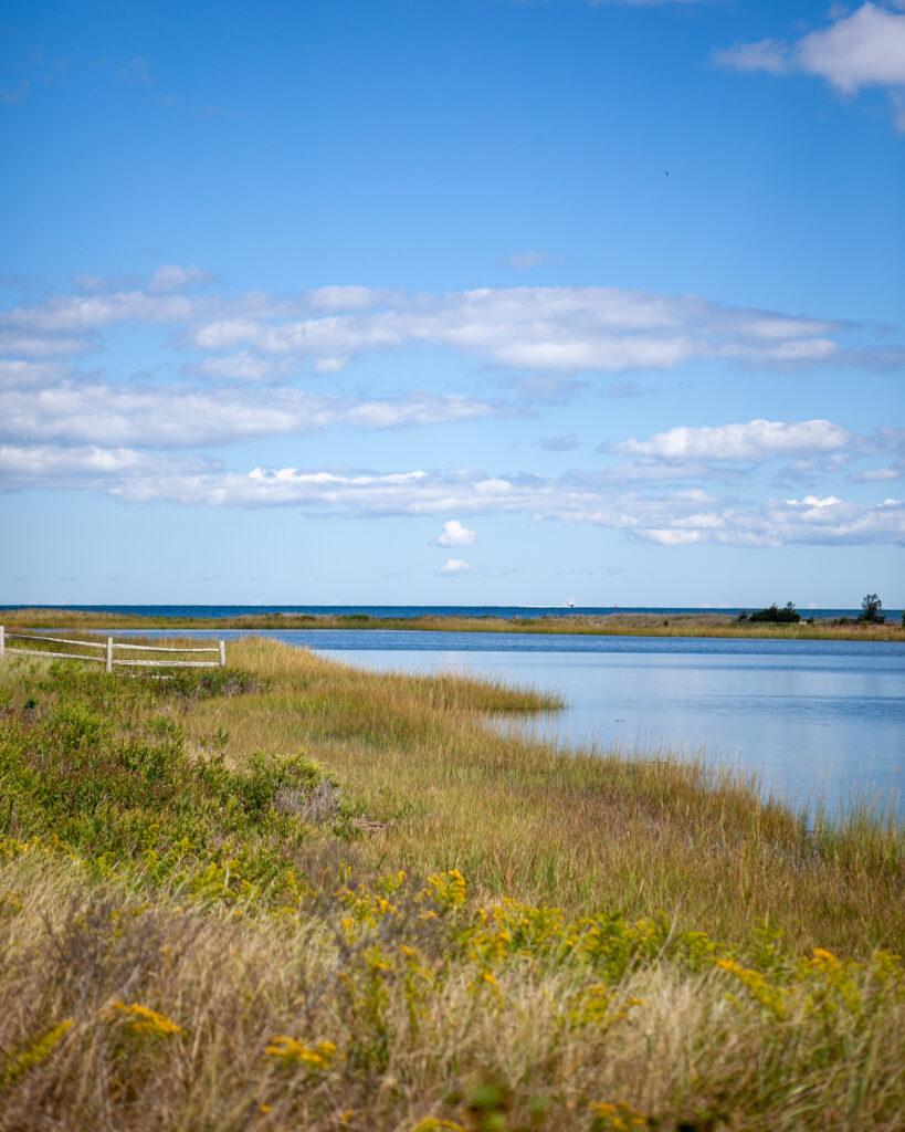 Tranquil riverside landscape with lush green grass vibrant wildflowers and calm blue water wallpaper