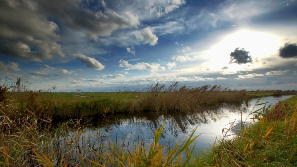 Serene riverside with tall grass vibrant sky and dramatic clouds reflecting on calm water wallpaper background