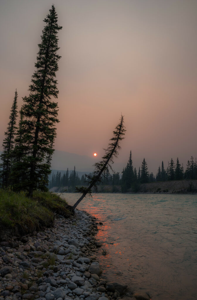 Tranquil riverside sunset with tall spruce trees long shadows misty sky gentle river flow Wallpaper