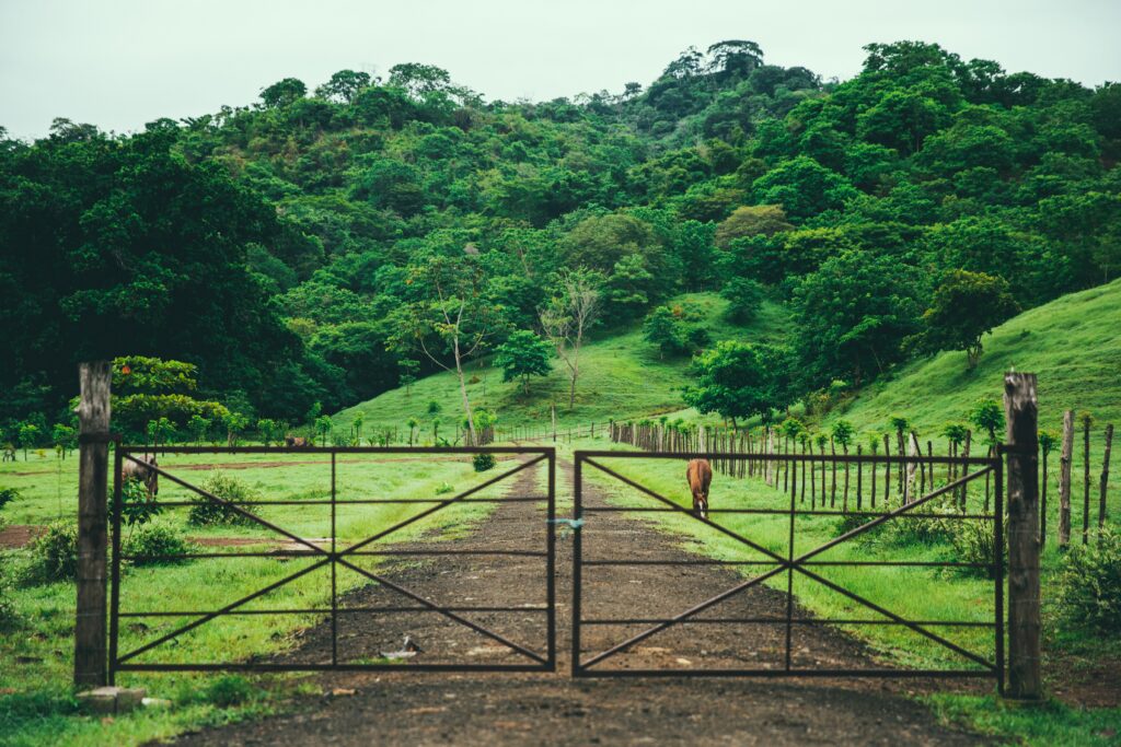 Tranquil rural scene with metal gate lush green pasture dirt path and rustic wooden fencing wallpaper