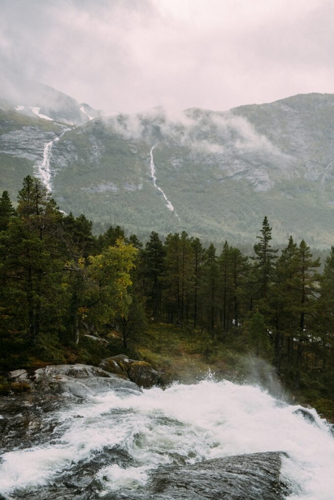 Rushing river and spruce trees with waterfall on misty green mountain vibrant nature wallpaper