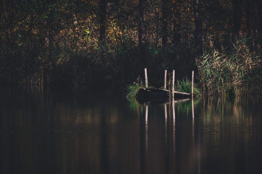 Rustic wooden pier over calm river surrounded by lush forest and tall grass in soft sunlight Wallpaper