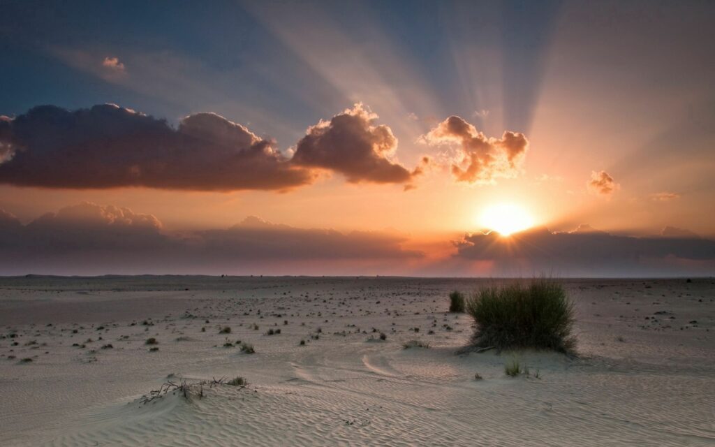 Tranquil sandy landscape with sparse grass tall trees sunset vibrant orange pink sky rays wallpaper