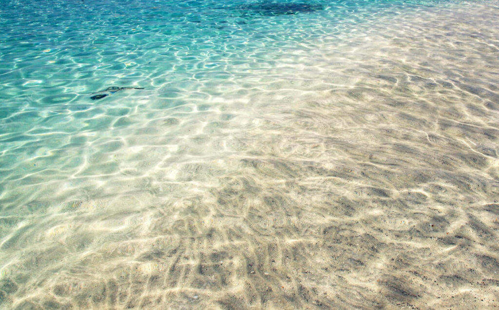 Tranquil Sandy Shore Wallpaper: Clear Blue Water & Gentle Waves