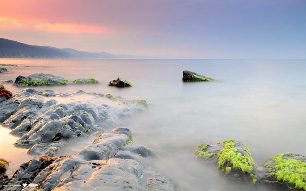 Tranquil seascape with mossy rocks smooth stones soft light foggy coastal serene water wallpaper