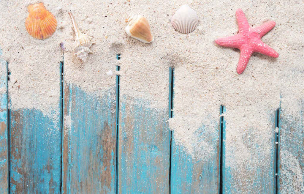 Coastal Serenity: Seashells & Pink Starfish Wallpaper Background
