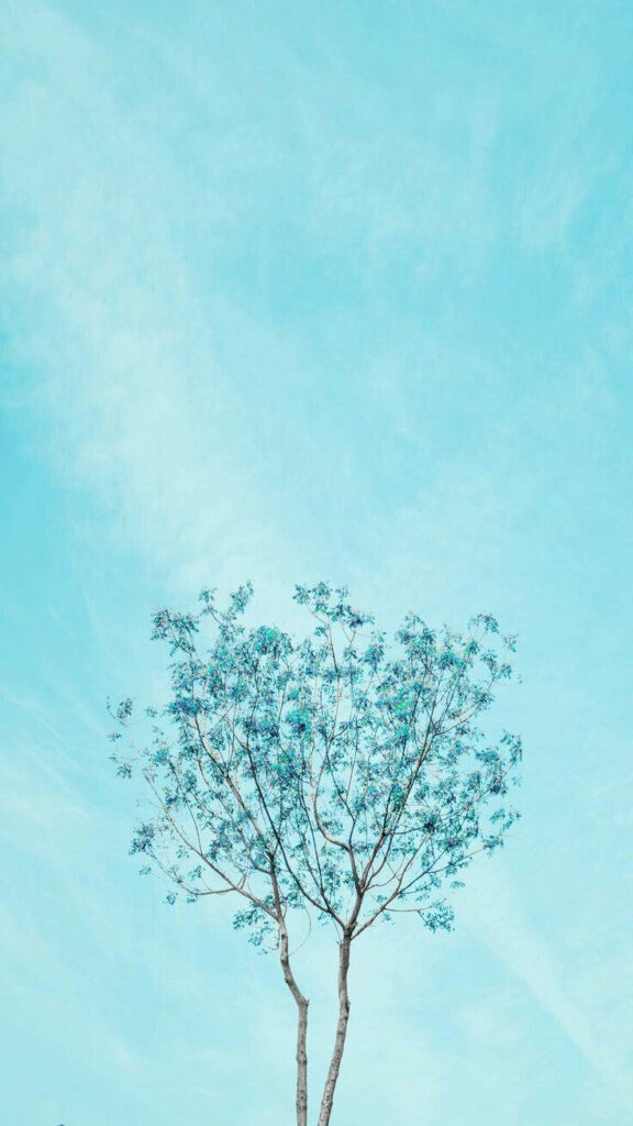 Serene Shades of Blue: Tranquil Tree Silhouette Against the Sky's Blank Canvas Wallpaper