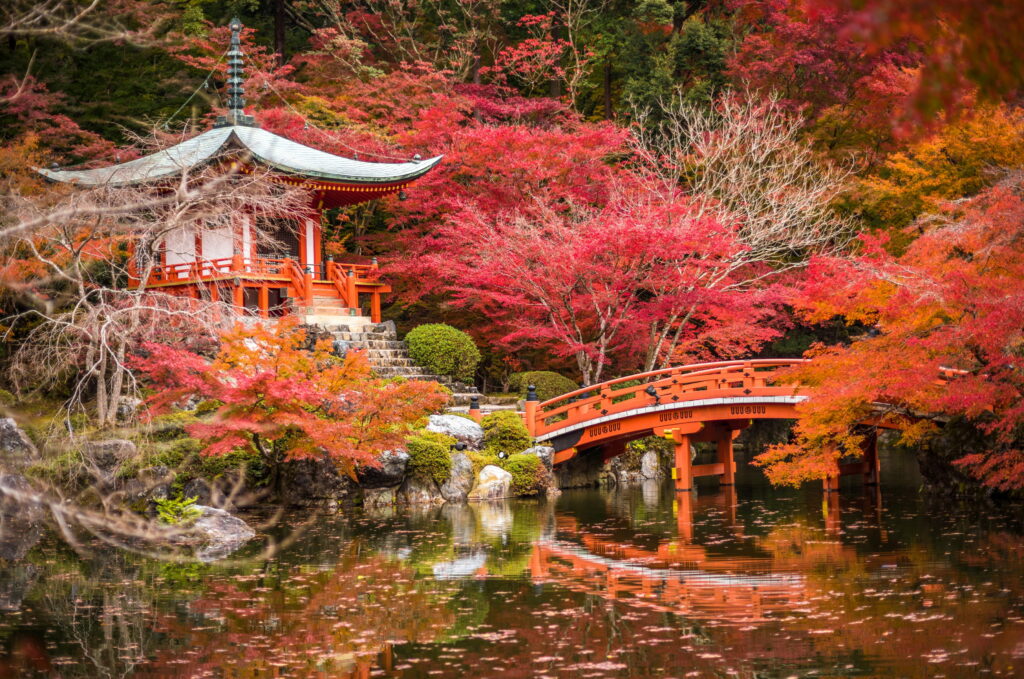 Serene Sceneries: Unveiling the Tranquil Beauty of Daigo Ji's Japanese Garden Wallpaper