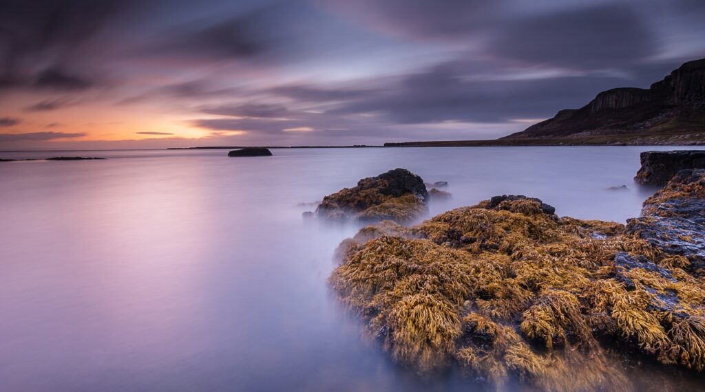 Serene dawn shoreline with rippling water seaweed stones distant cliffs pastel sky wallpaper