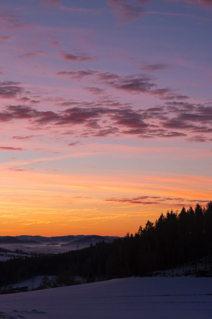 Tranquil snowy dawn landscape with silhouetted trees and pastel pink purple orange sky clouds Wallpaper