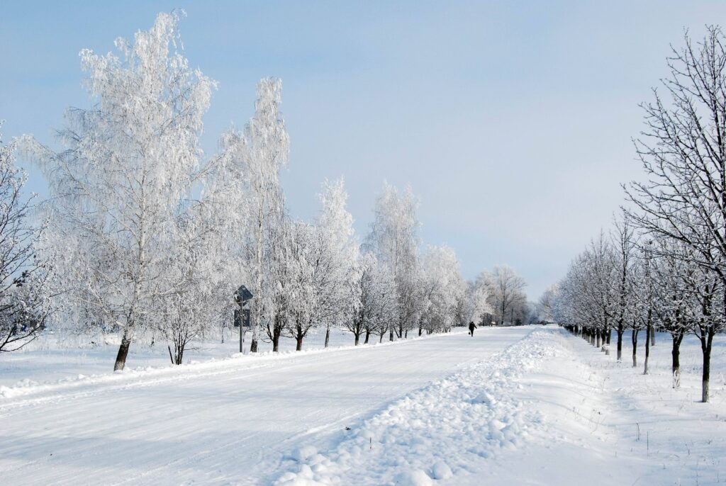 Snowy road lined with frosted trees and a distant figure walking under a pale blue winter sky Wallpaper