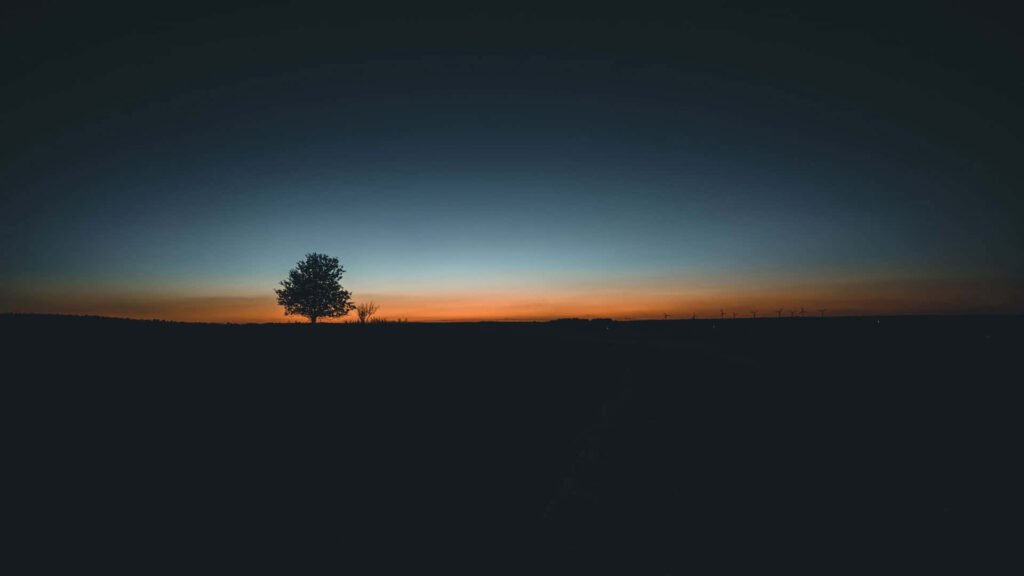 Solitary Tree Silhouette at Vibrant Sunset with Gradient Sky Wallpaper