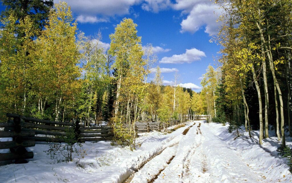 Scenic spring landscape with birch trees snowy road green leaves rustic fences blue sky wallpaper