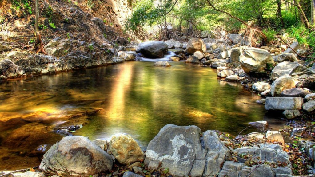 Serene spring lake with smooth stones sunlight filtering through green trees peaceful nature wallpaper