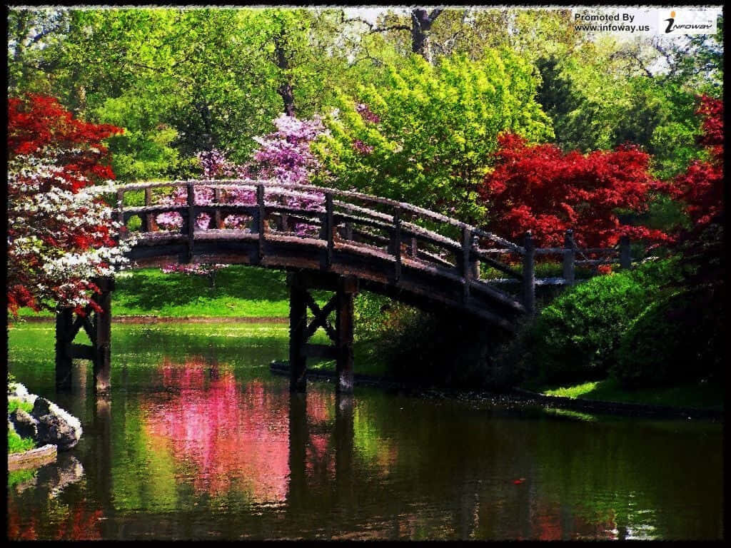 Serene Spring Wallpaper: Charming Bridge Over Reflective Pond