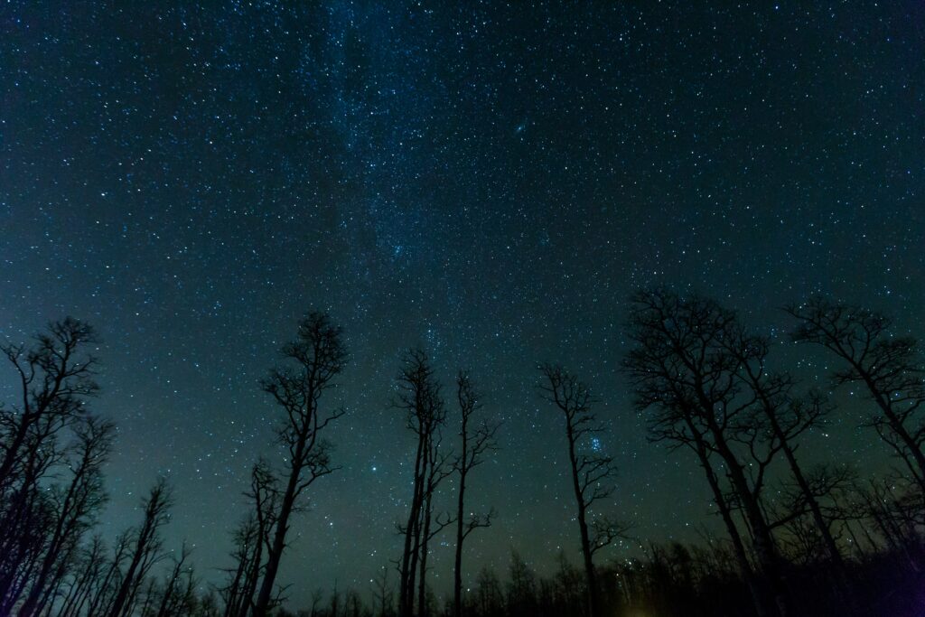 Tranquil night sky wallpaper with silhouetted trees and starry Milky Way background in blue tones