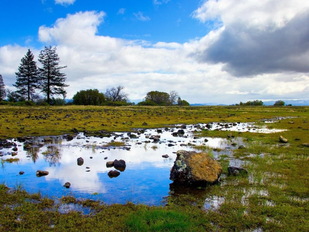 Serene landscape wallpaper with stones and reflective water pool in green grass under clouds