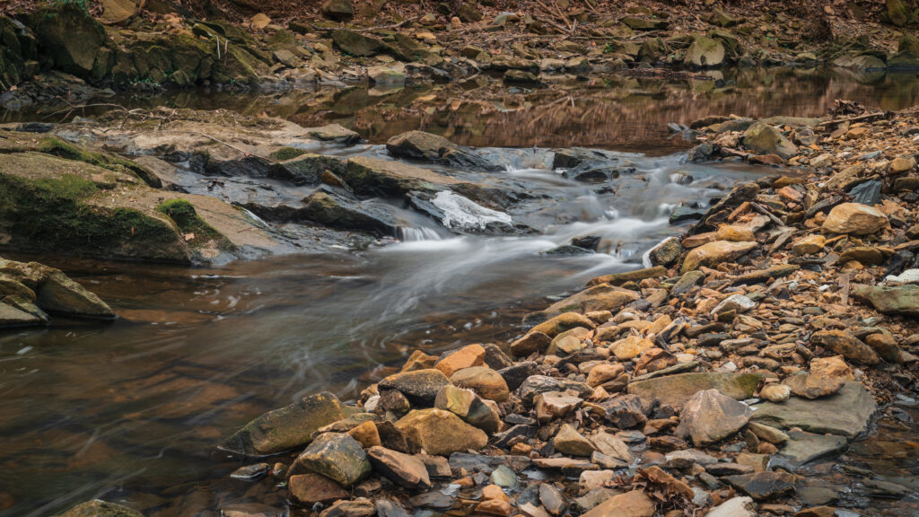 Serene woodland stream flowing over mossy stones earthy green and brown nature wallpaper background