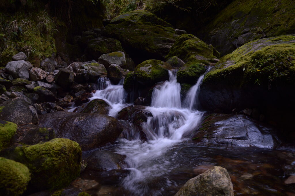 Tranquil stream flowing over smooth stones with green moss and dense forest nature wallpaper
