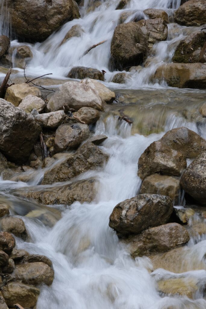 Serene clear stream flowing over smooth stones with gentle whitewater in tranquil nature landscape Wallpaper