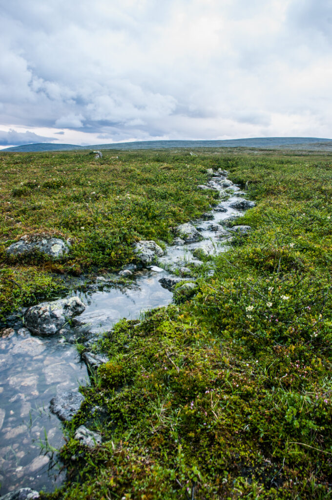 Tranquil stream flowing through lush green field with stones clear water reflecting cloudy sky Wallpaper