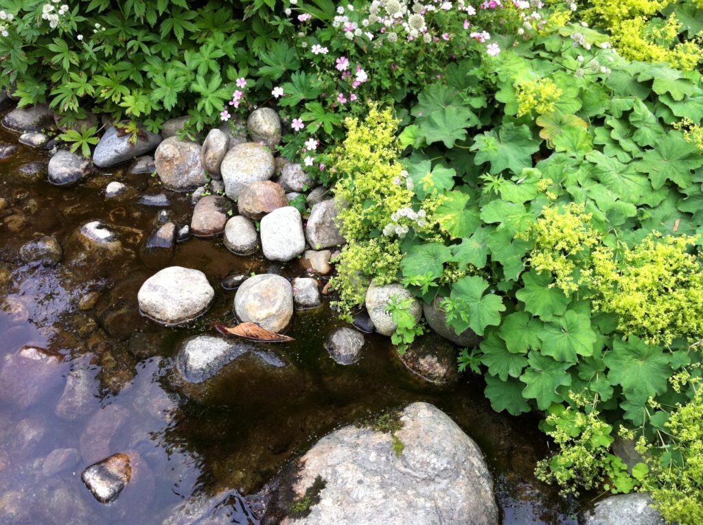 Tranquil nature wallpaper with smooth rocks clear stream and vibrant green plants and flowers