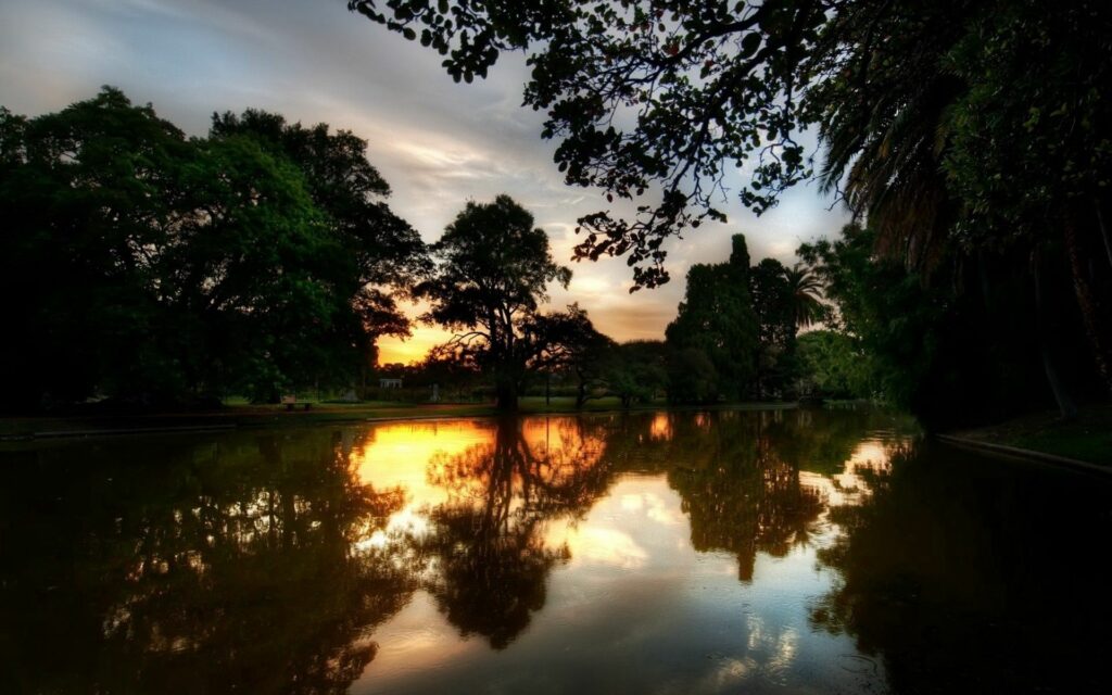 Tranquil summer evening lake with tall trees reflected calm water twilight sky wallpaper background