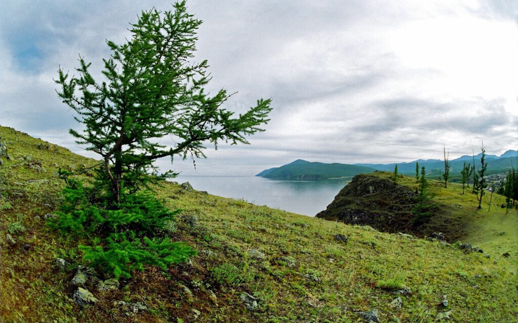 Vibrant summer landscape with green grass solitary tree tranquil lake hills mountains cloudy sky Wallpaper