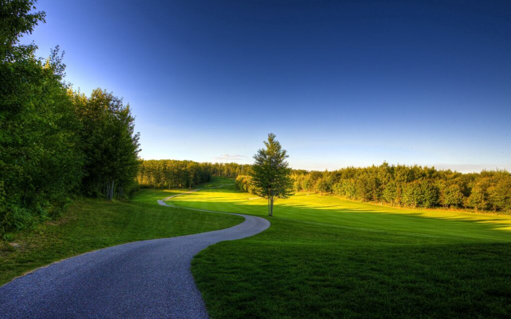 Winding path through lush summer landscape with tall trees green grass and clear blue sky Wallpaper
