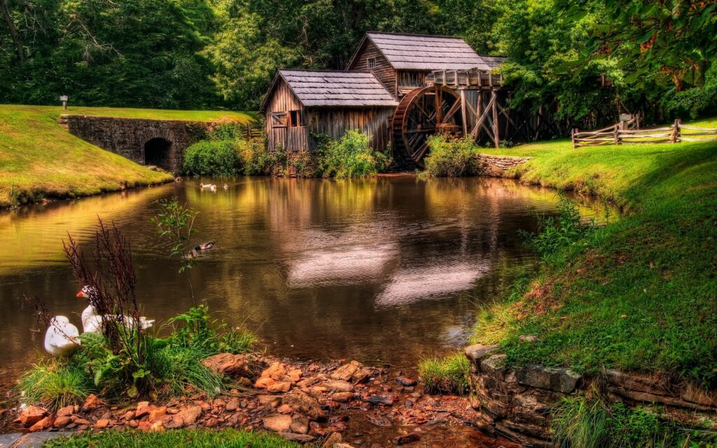 Serene summer pond with geese rustic lodges old mill water wheel lush greenery vibrant sunlight Wallpaper