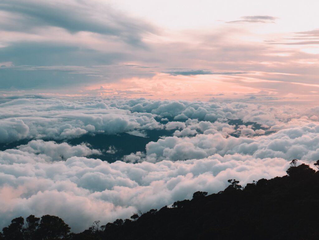 Sunrise sky with soft clouds and tree silhouettes creating a tranquil natural landscape wallpaper