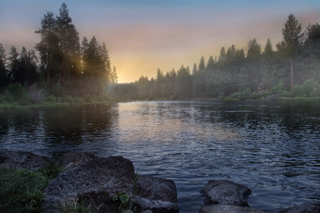 Sunrise over tranquil river winding through dense forest with fog and tall trees reflection Wallpaper