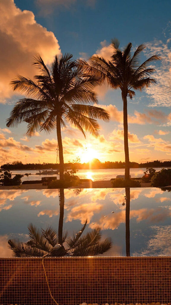 Tranquil Sunset Beach Wallpaper: Palm Trees & Vibrant Sky Reflections