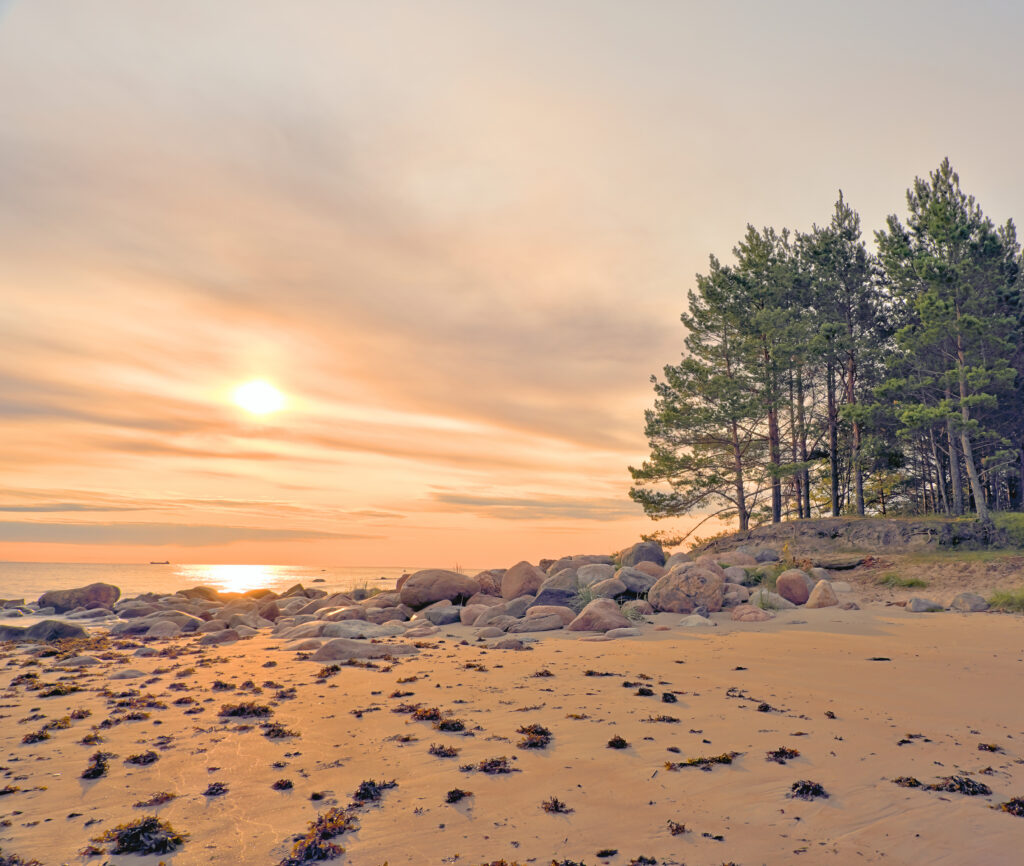 Tranquil sunset beach wallpaper with golden sea reflection pine trees and pastel sky clouds