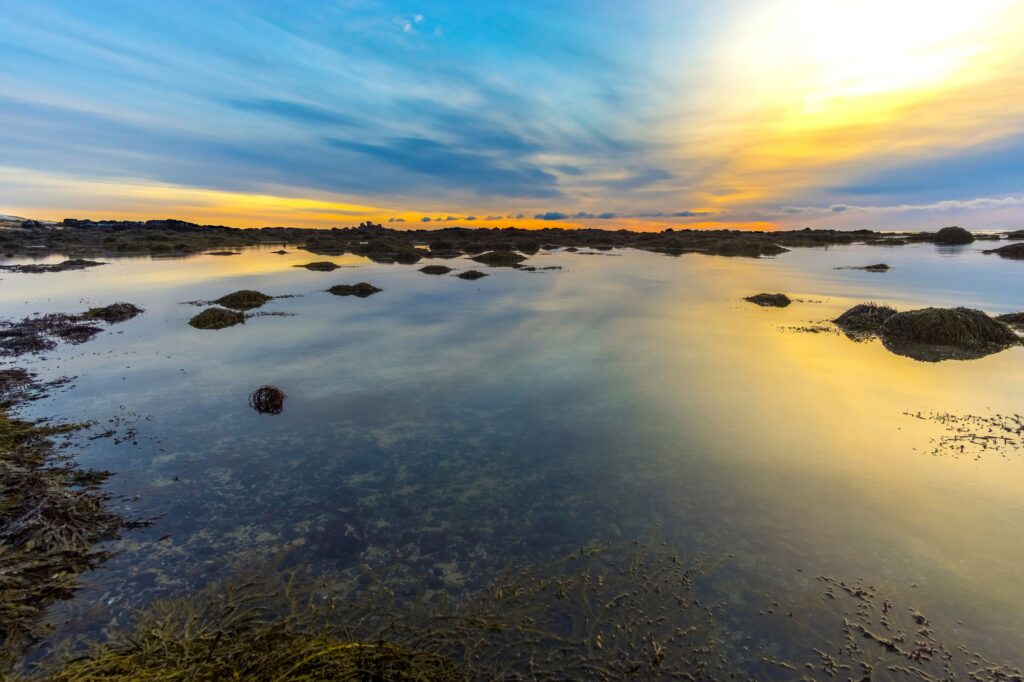 Serene lake at sunset with green algae patches and reflective water under dramatic sky Wallpaper