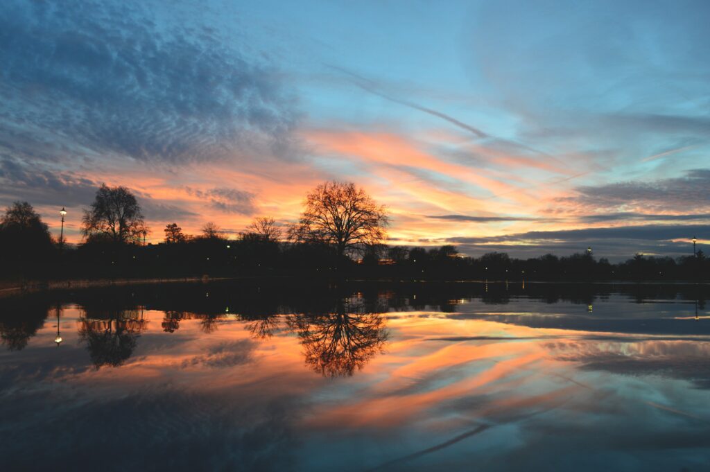 Solitary tree at sunset reflected on calm lake with vibrant orange pink and blue sky wallpaper background