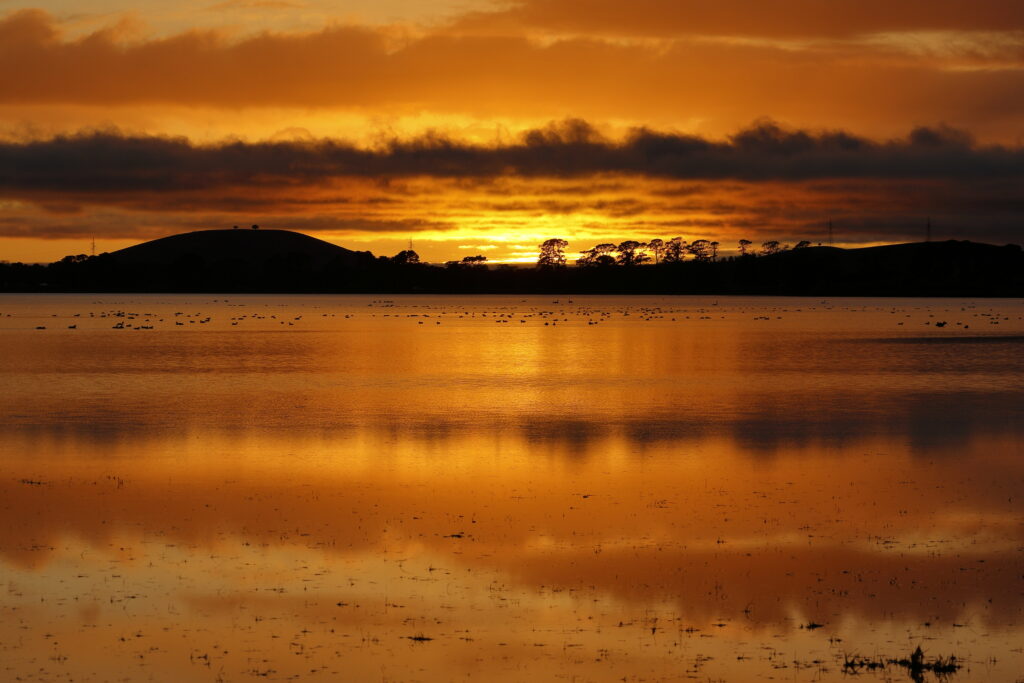 Serene lake at sunset with vibrant orange sky and silhouetted trees reflecting on calm water wallpaper