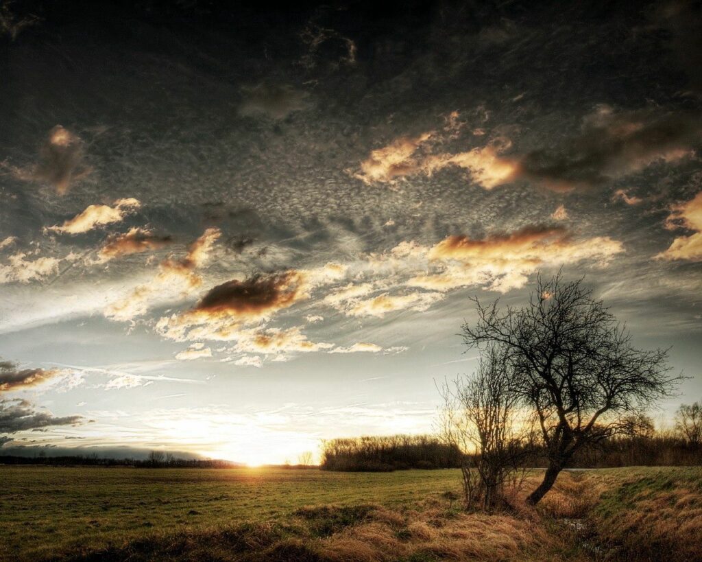 Serene sunset landscape with colorful clouds leafless tree and open grassy field wallpaper background