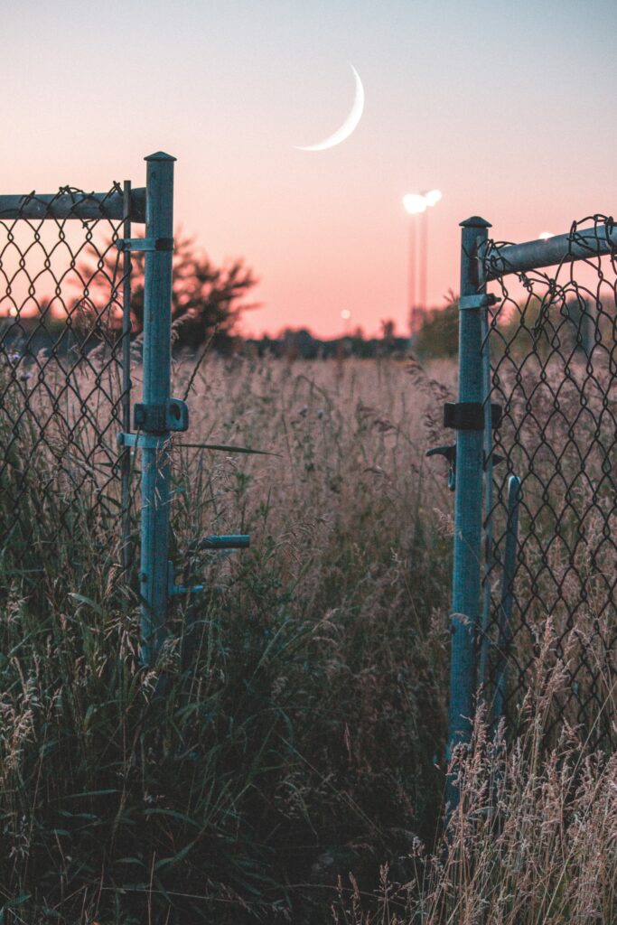 Open mesh fence with tall grass at sunset and glowing crescent moon serene dreamy wallpaper