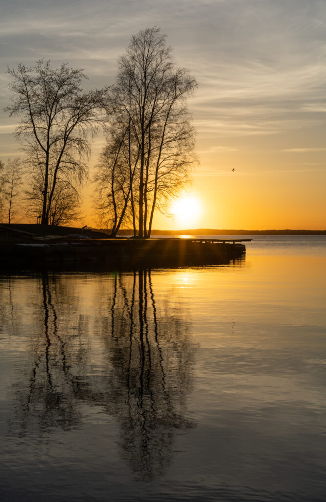 Tranquil sunset over calm lake with golden light and silhouetted bare trees reflection wallpaper