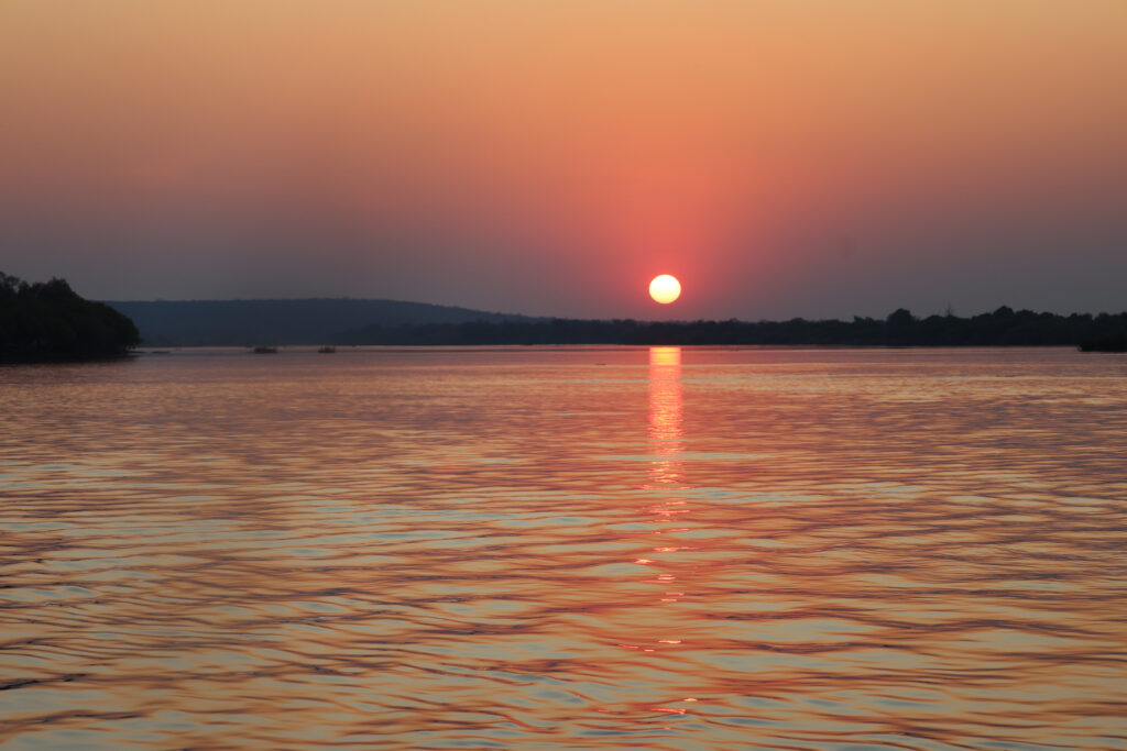 Tranquil sunset over calm sea with orange pink hues and silhouetted trees serene evening wallpaper
