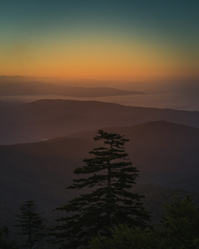 Serene sunset over misty mountain ridges with fog layers and a silhouetted solitary tree wallpaper