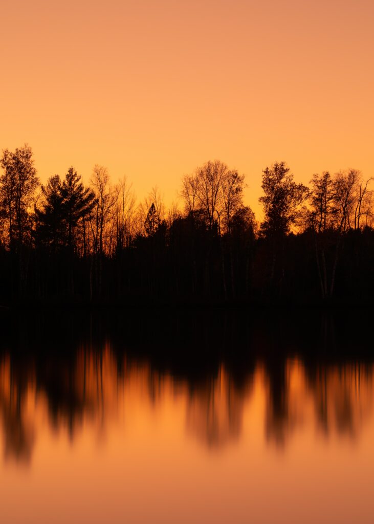 Serene sunset over calm water with tree silhouettes and warm orange golden reflections wallpaper background