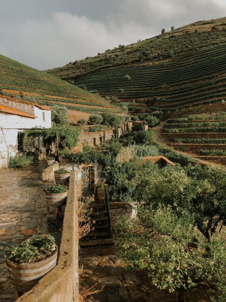 Terraced rolling hills with lush greenery and rustic stone path in tranquil countryside scene Wallpaper