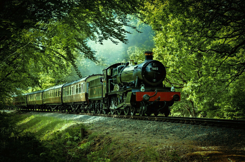 Immerse Yourself in the Serene Beauty of Nature aboard a Picturesque Train Journey through an Enchanting Forest Wallpaper