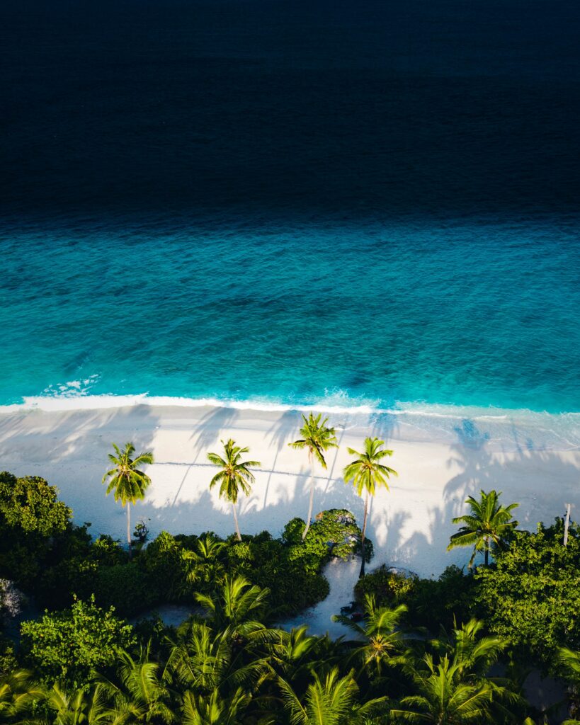 Aerial view of tropical beach with turquoise sea white sand palm trees and lush green foliage Wallpaper